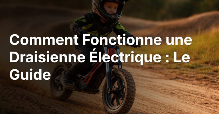 Comment Fonctionne une Draisienne Électrique : Le Guide